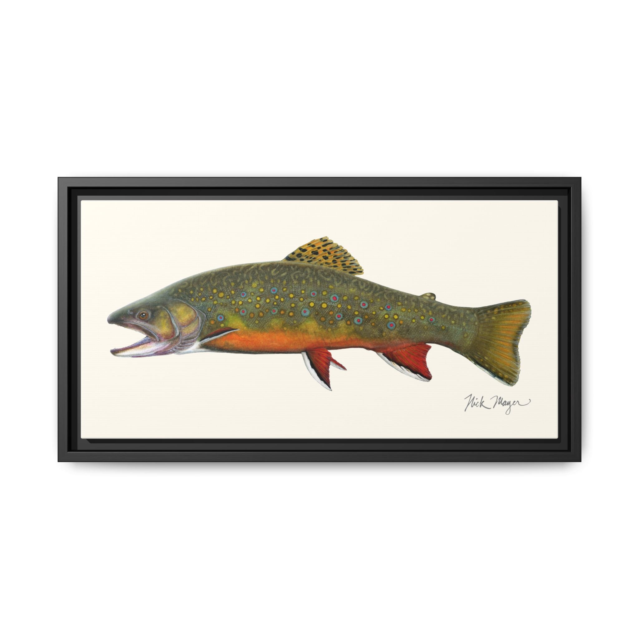 Beaver Pond Brook Trout Framed Canvas Print Printify