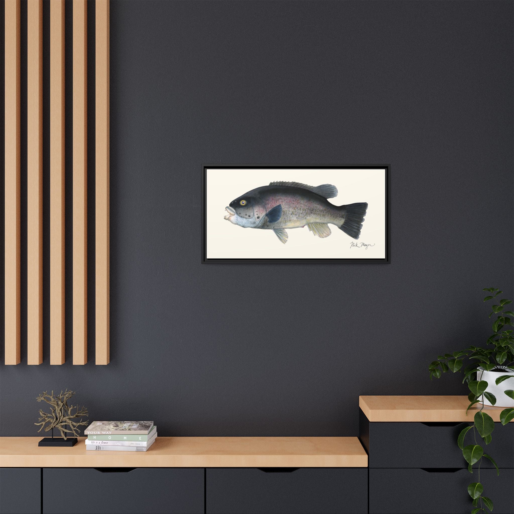 Tautog / Blackfish Framed Canvas Print Printify