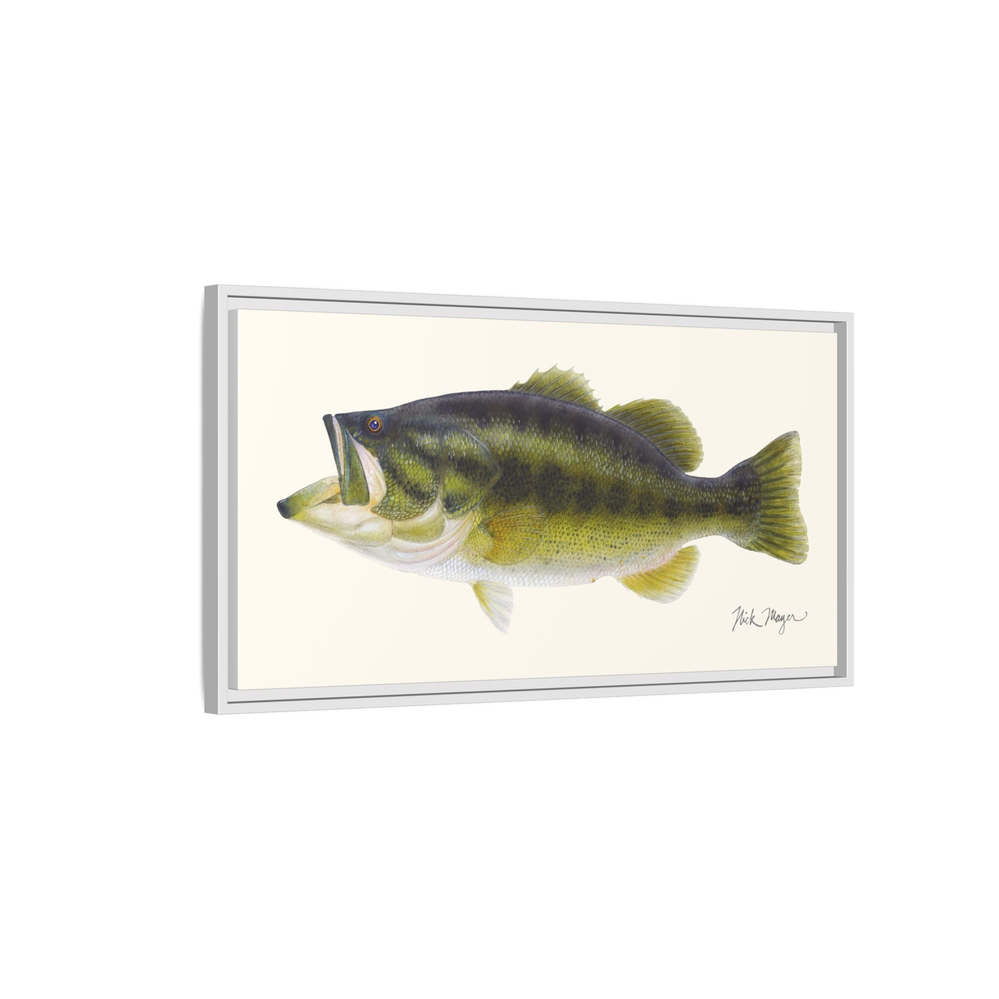 Largemouth Bass I Framed Canvas Print Printify