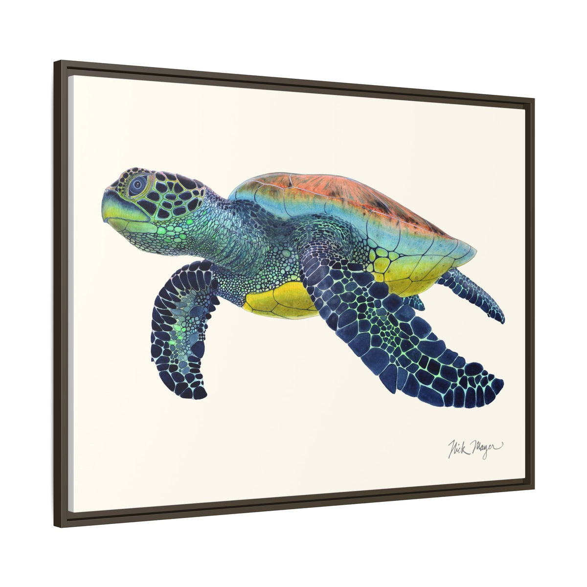 Green Sea Turtle II Framed Canvas Print Printify
