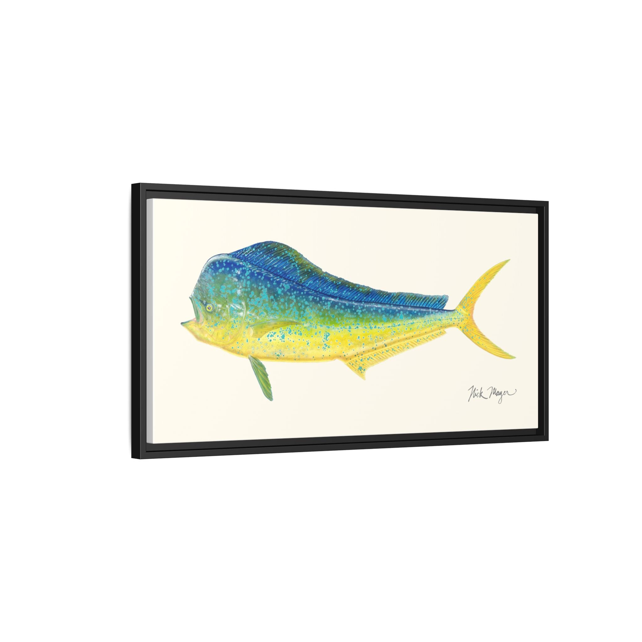 Bull Mahi Mahi Framed Canvas Print