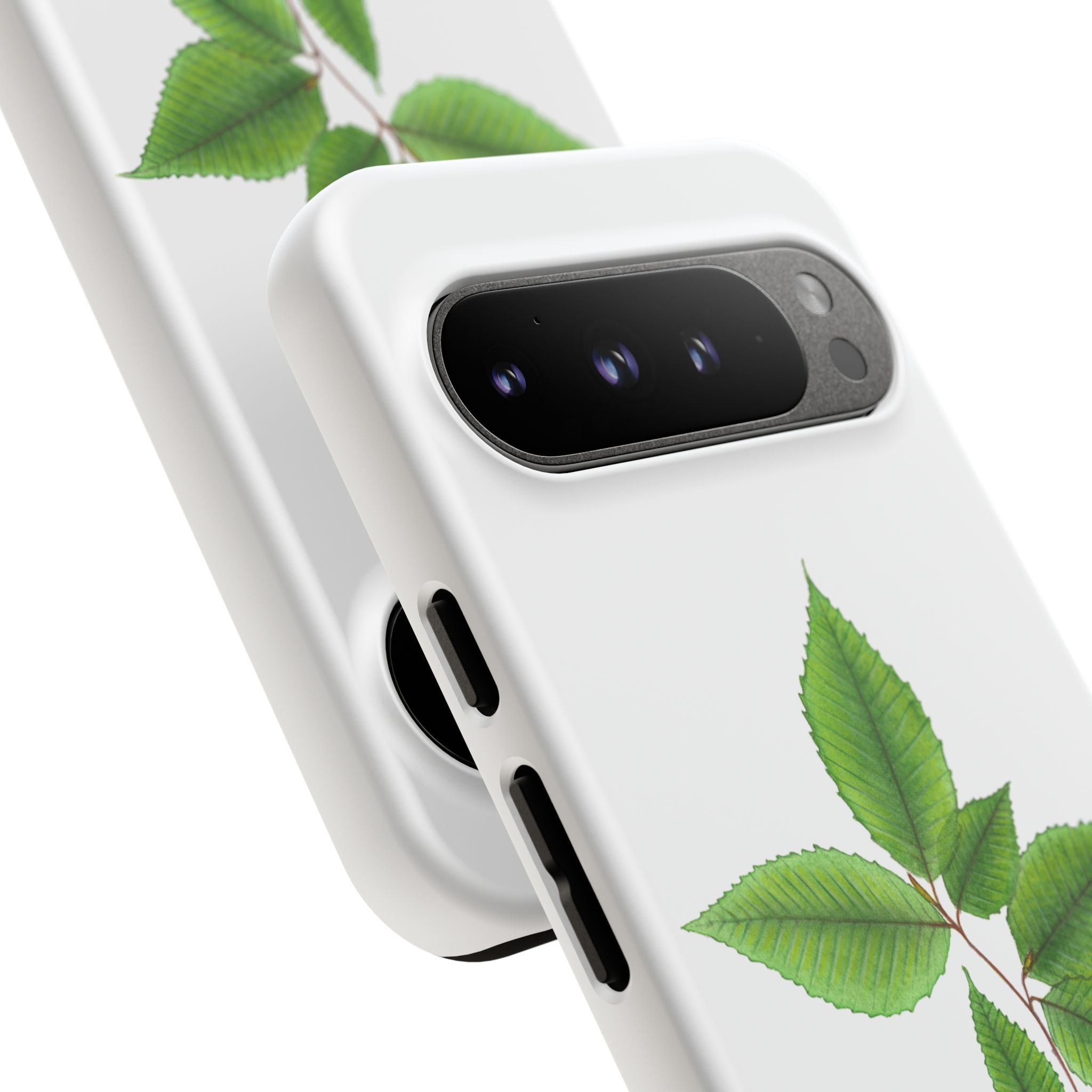 American Beech Phone Case (Samsung)