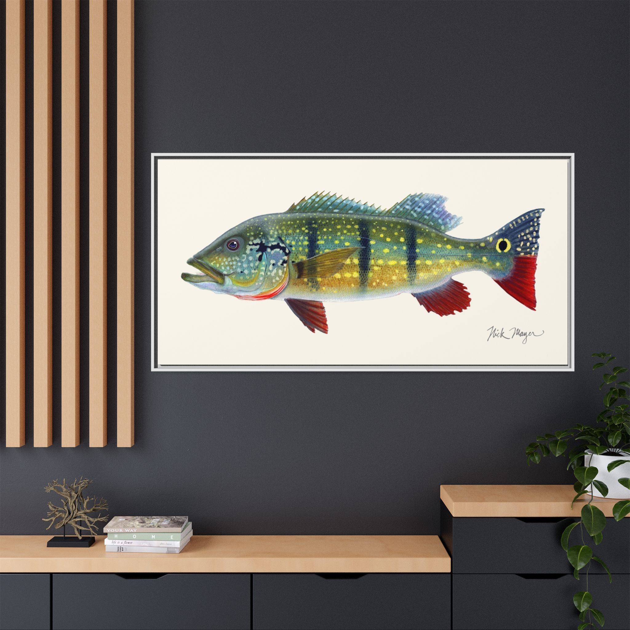 Peacock Bass Framed Canvas Print Printify