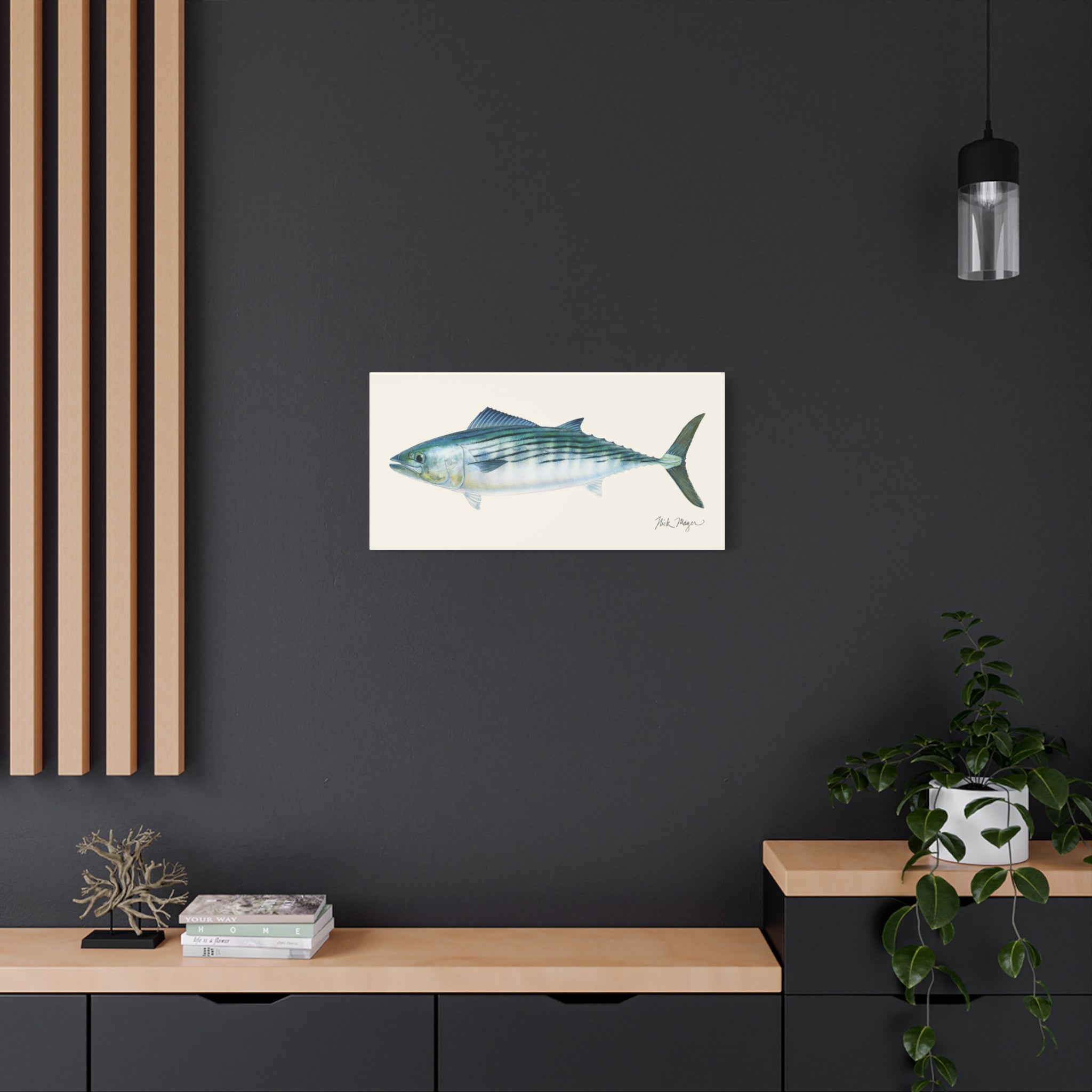 Bonito Canvas Print
