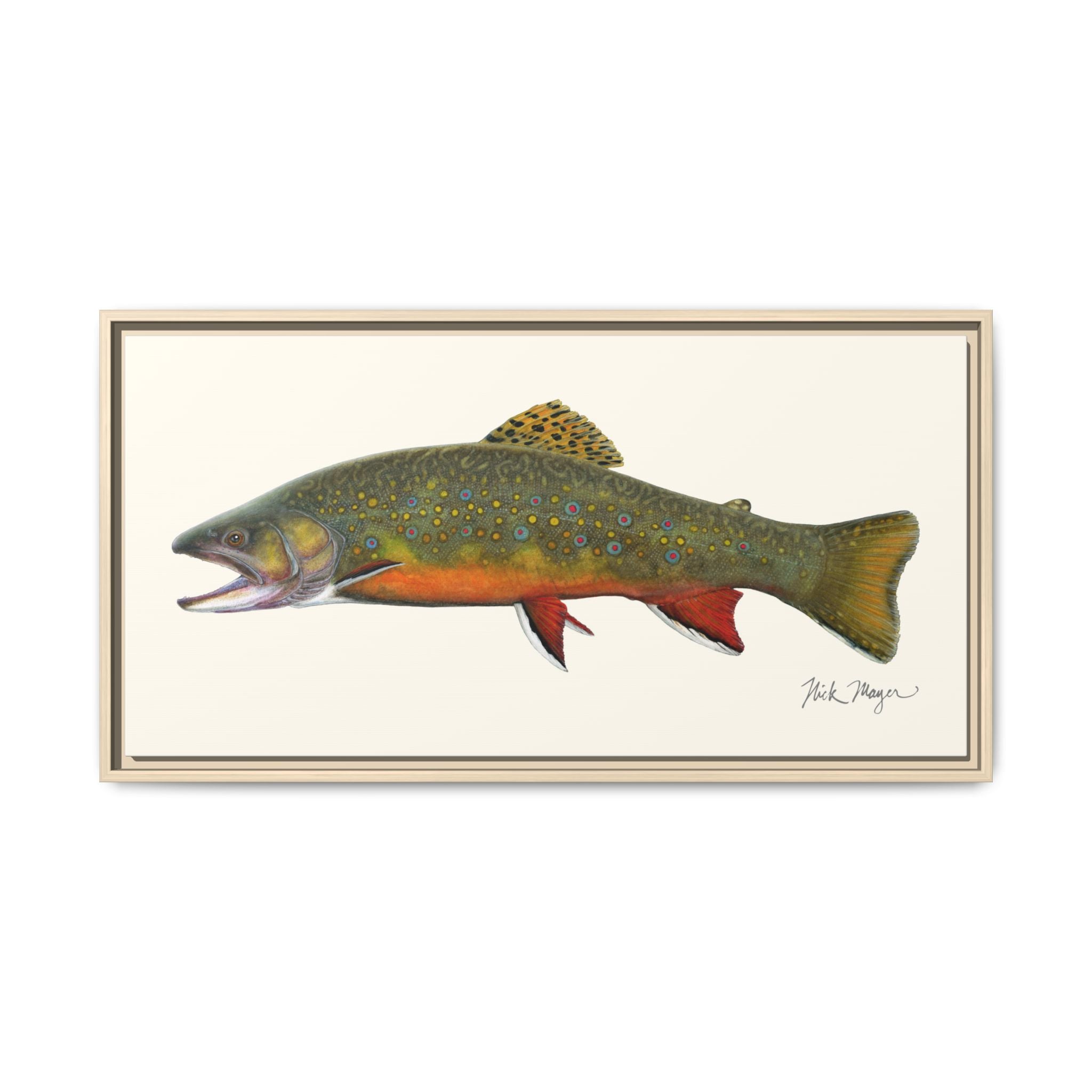 Beaver Pond Brook Trout Framed Canvas Print Printify
