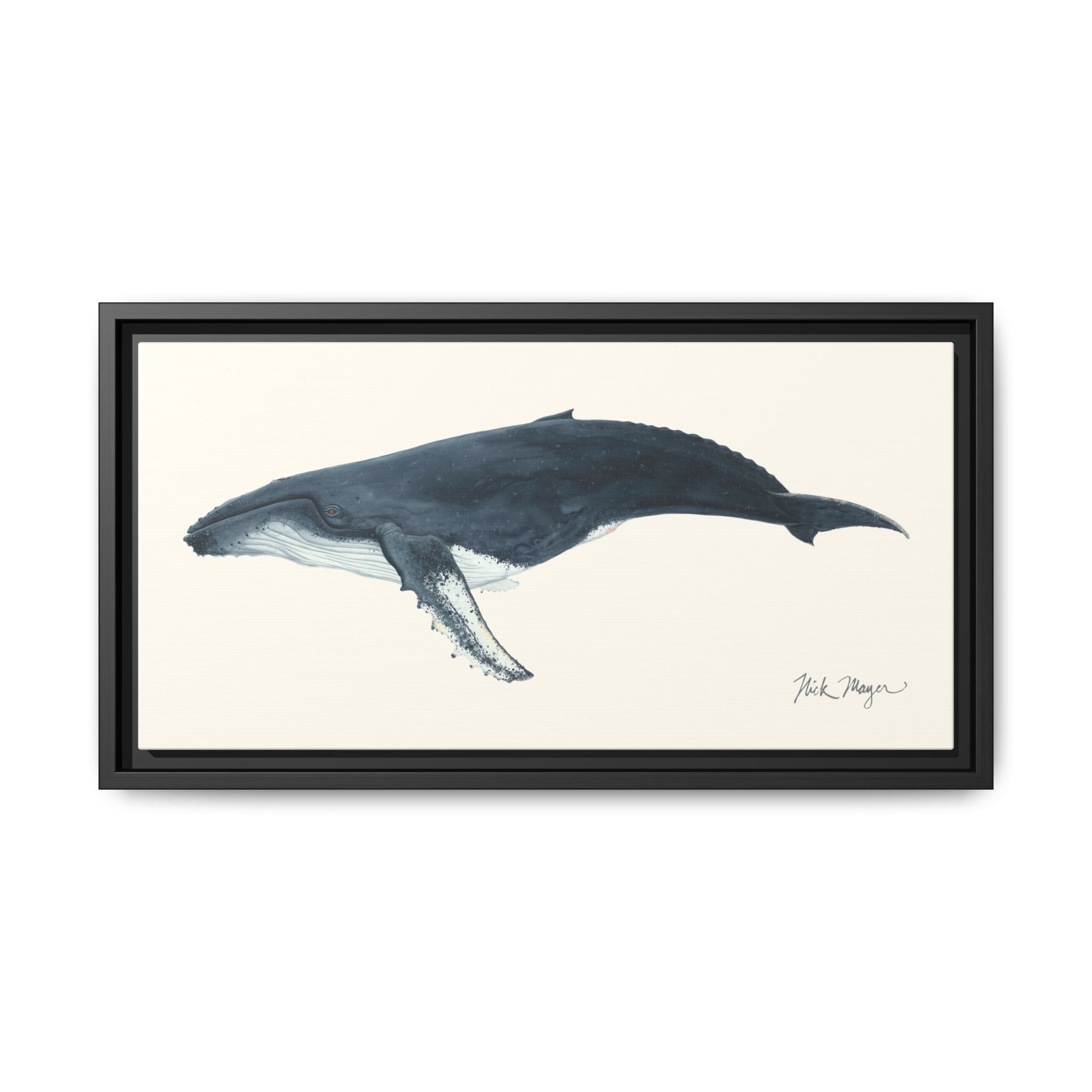 Humpback Whale Framed Canvas Print Printify