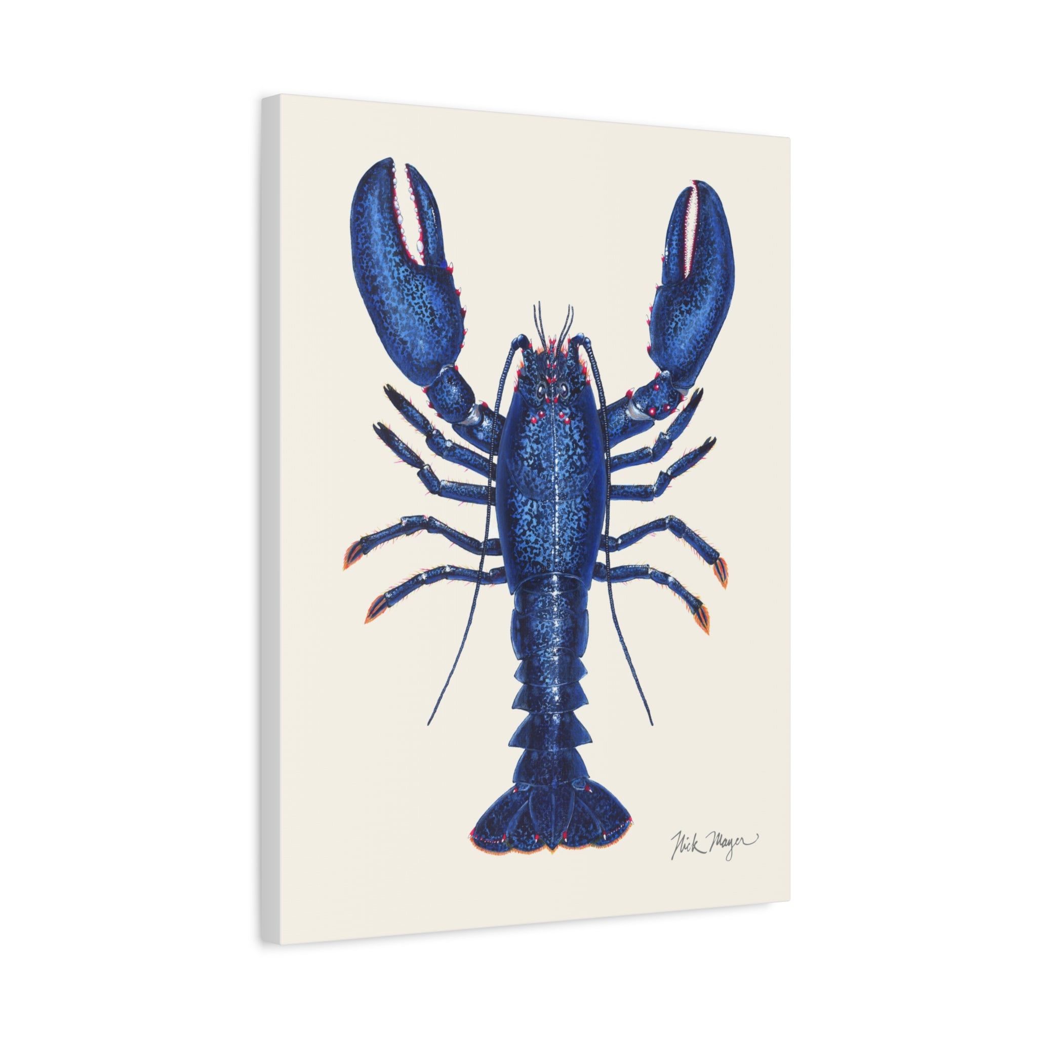 Blue Lobster II Canvas Print