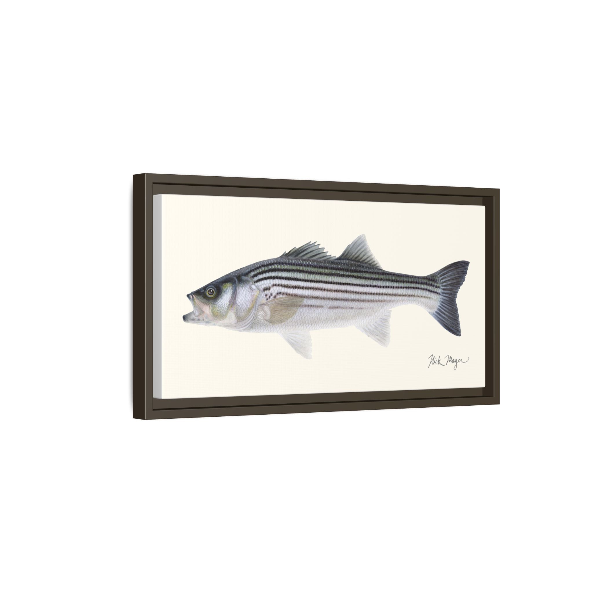 Schoolie Striped Bass Framed Canvas Print Printify