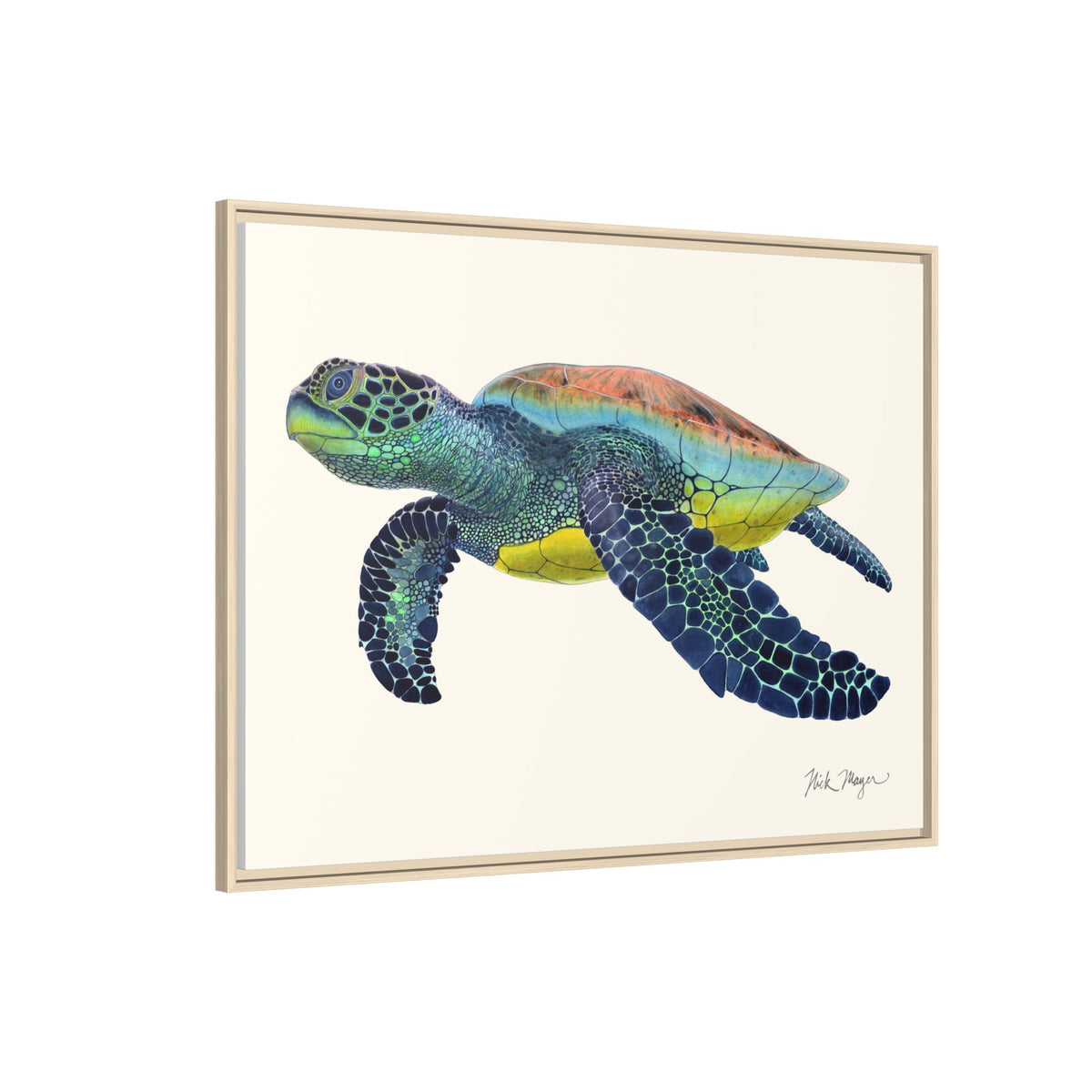 Green Sea Turtle II Framed Canvas Print Printify