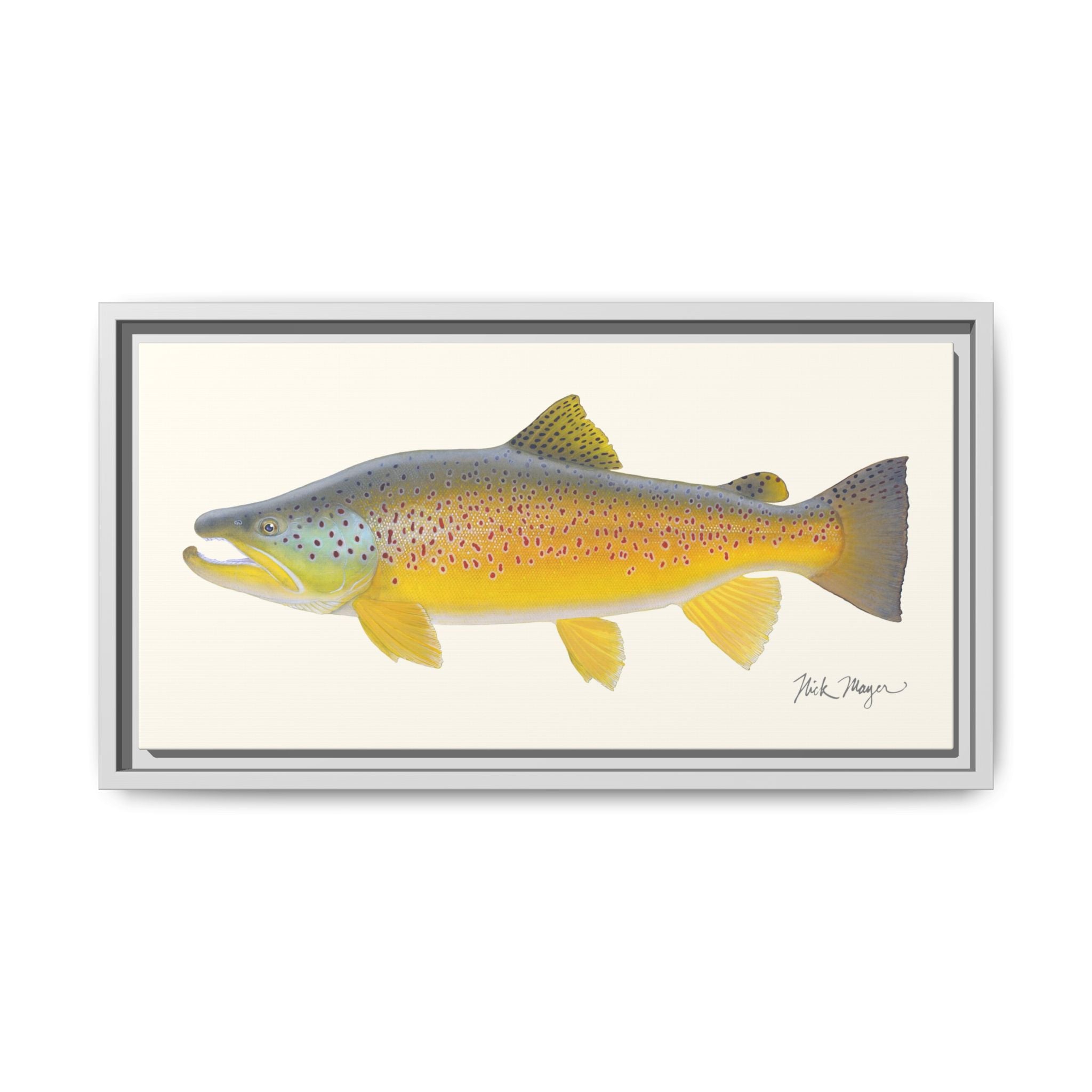 Brown Trout III Framed Canvas Print Printify