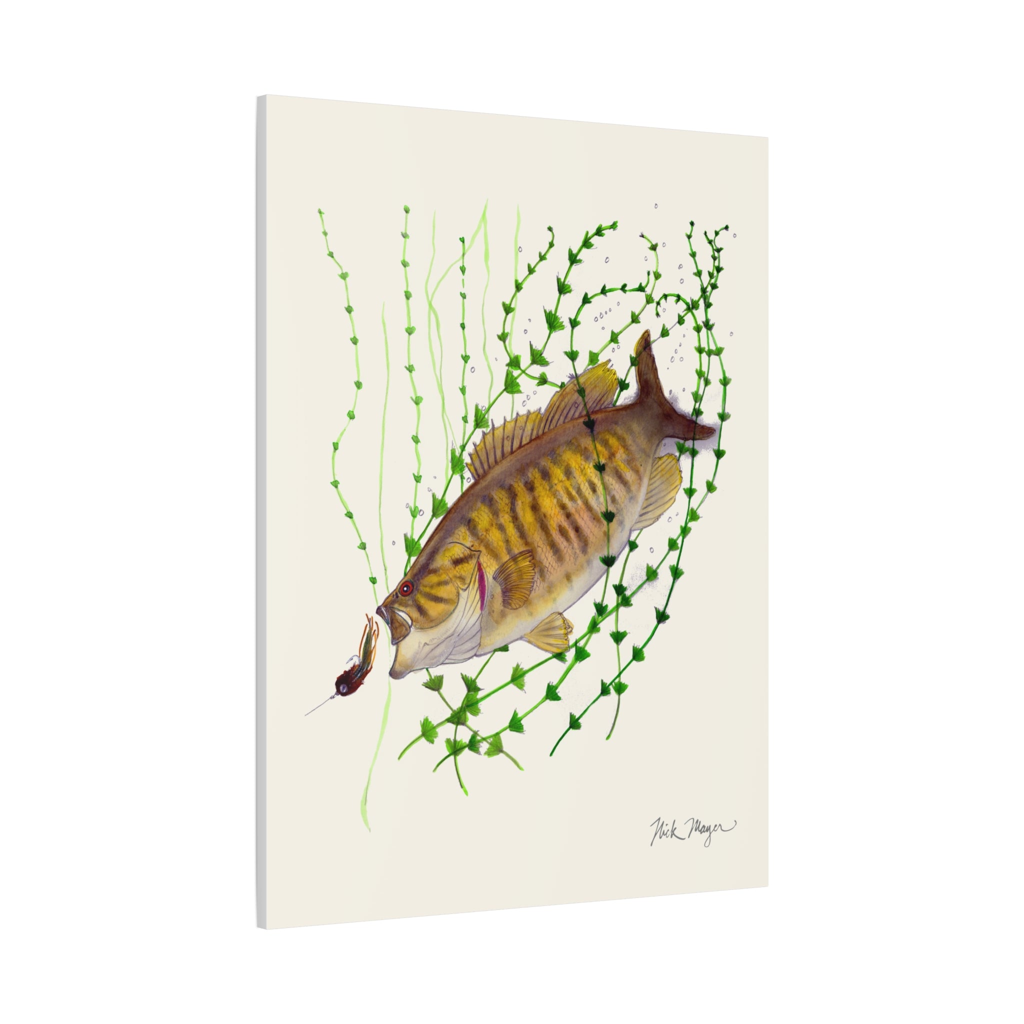 Bronzeback Smallmouth Bass Canvas Print