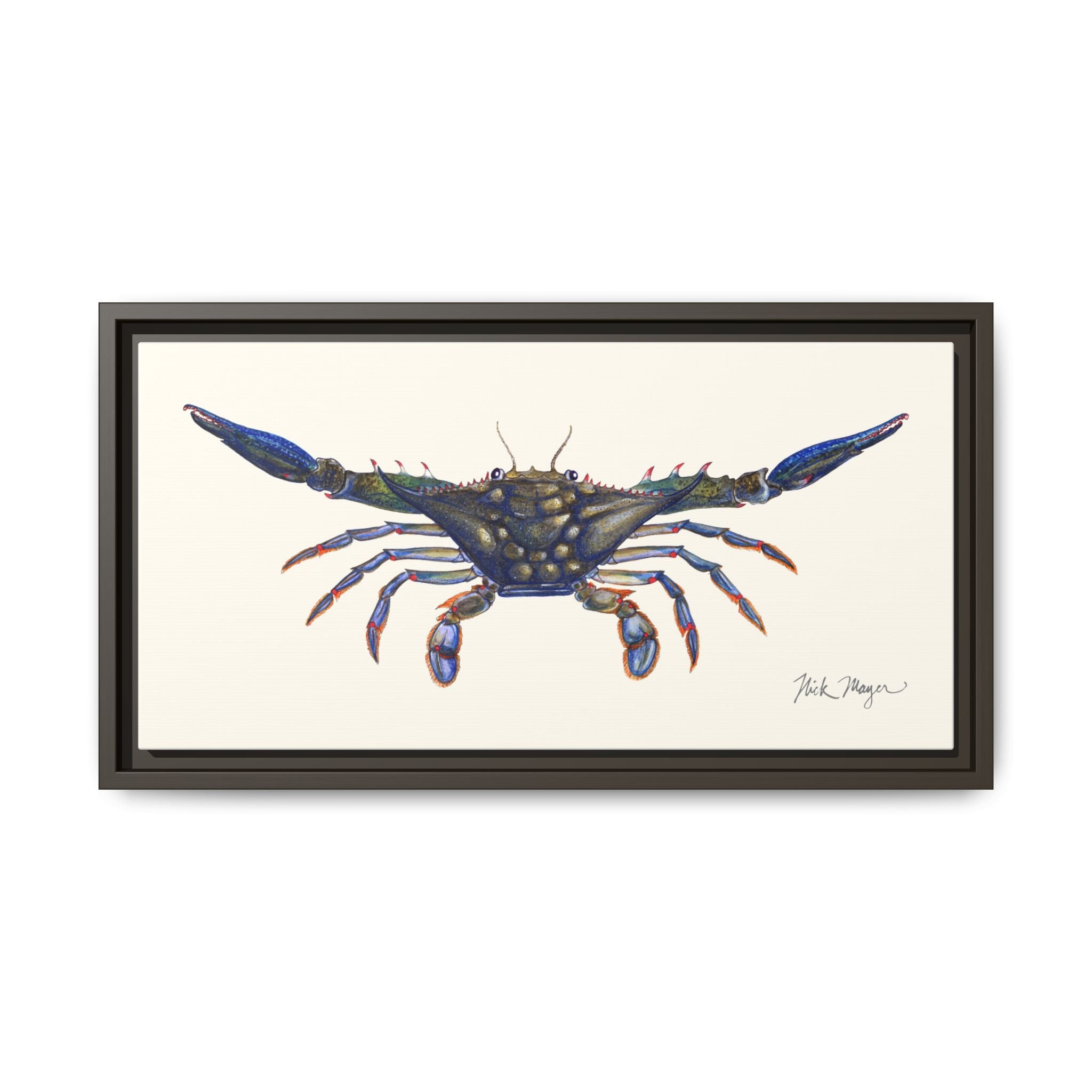 Blue Crab, Claws Out Framed Canvas Print Printify