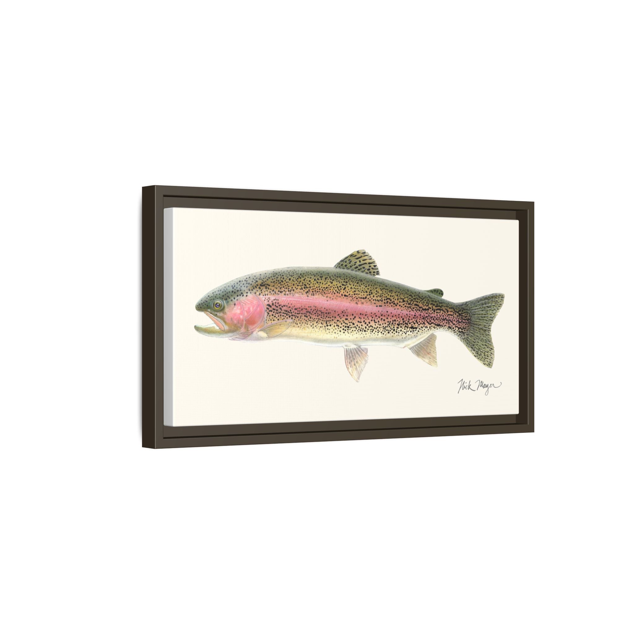 Rainbow Trout Framed Canvas Print Printify