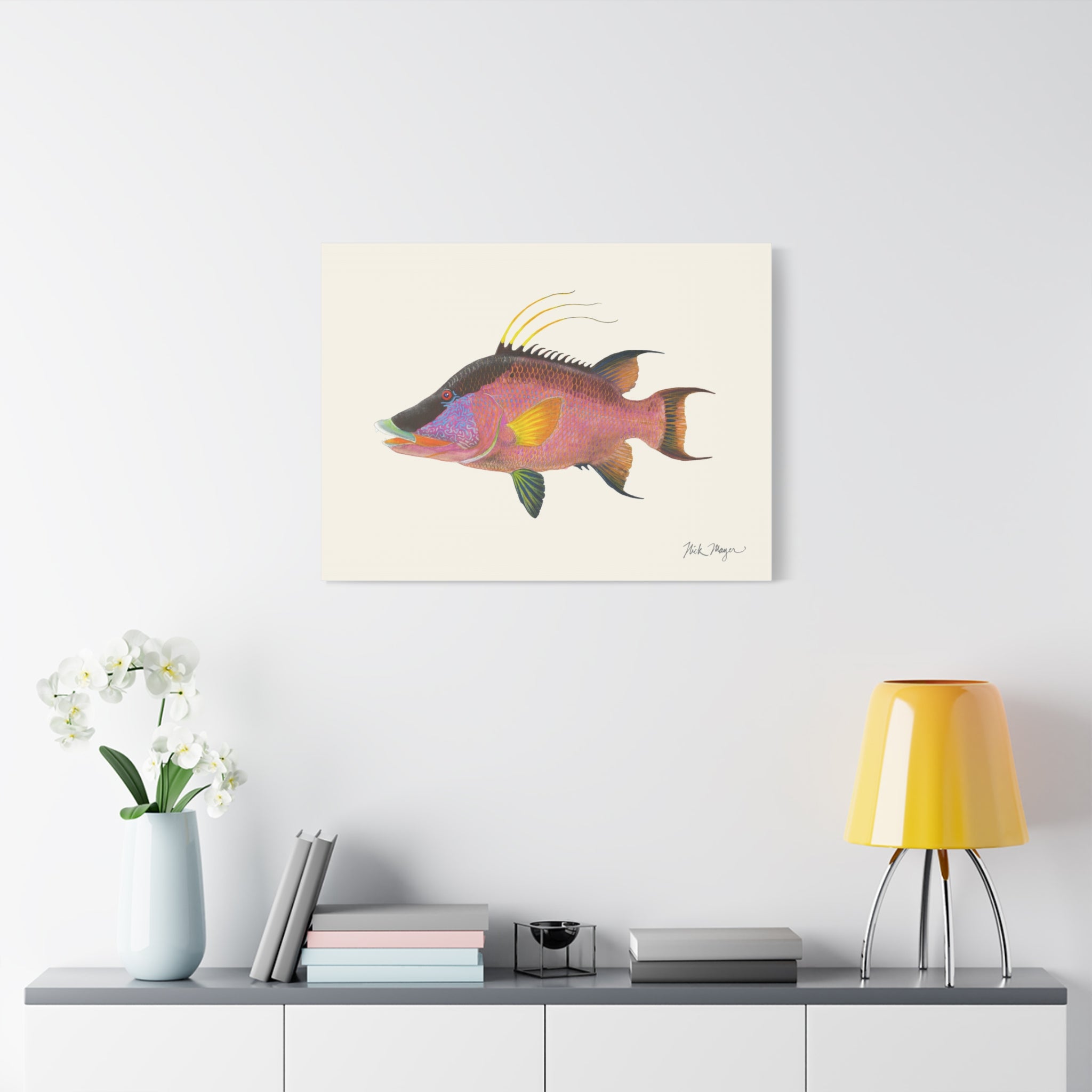 Hogfish Canvas Print
