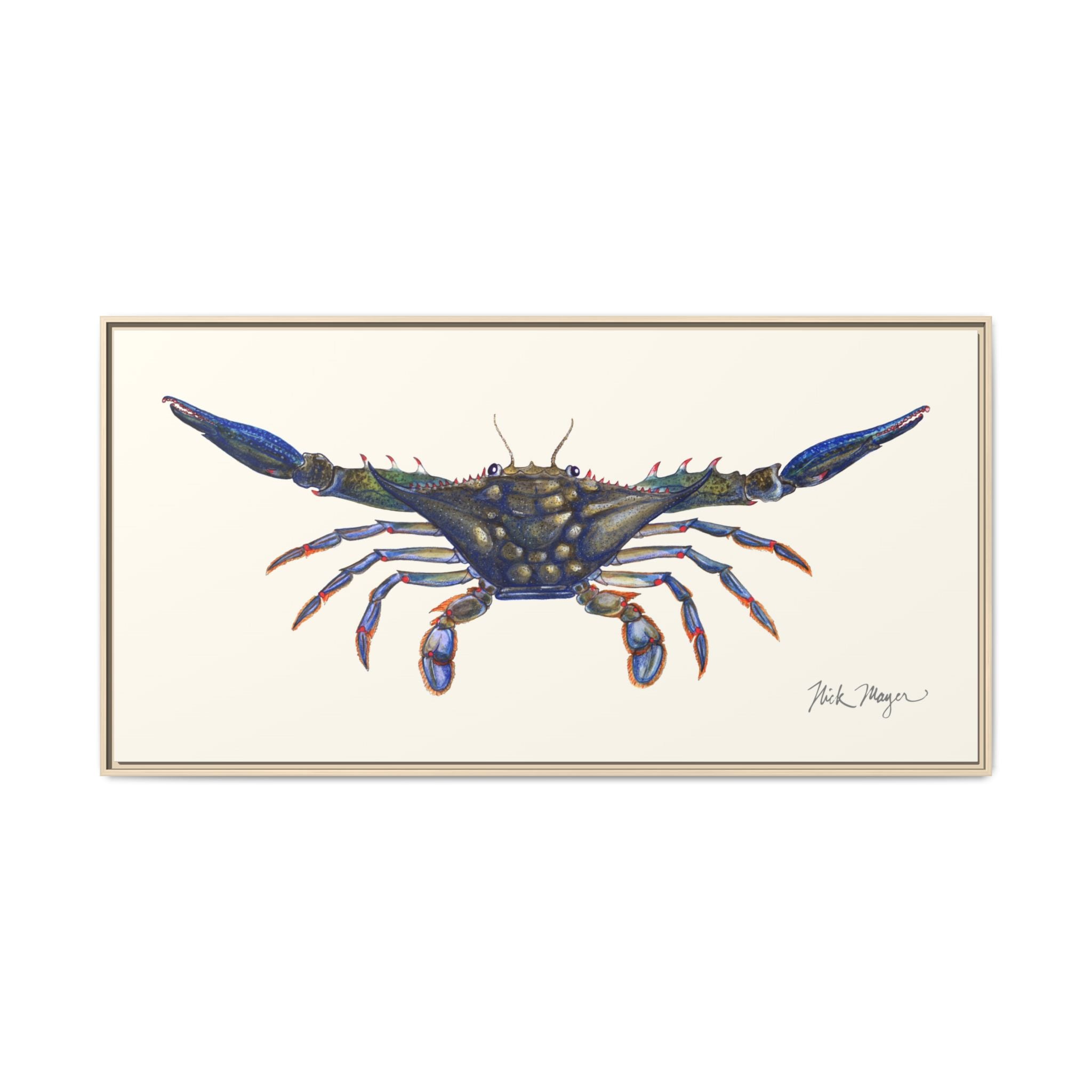Blue Crab, Claws Out Framed Canvas Print Printify