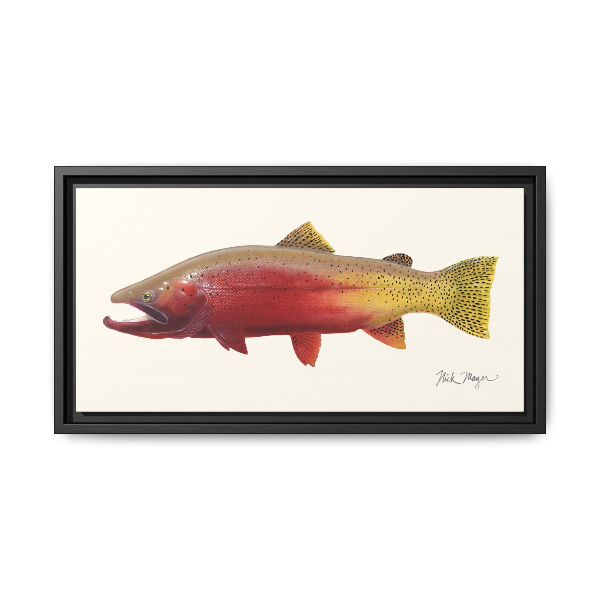 Cutthroat Trout II Framed Canvas Print Printify
