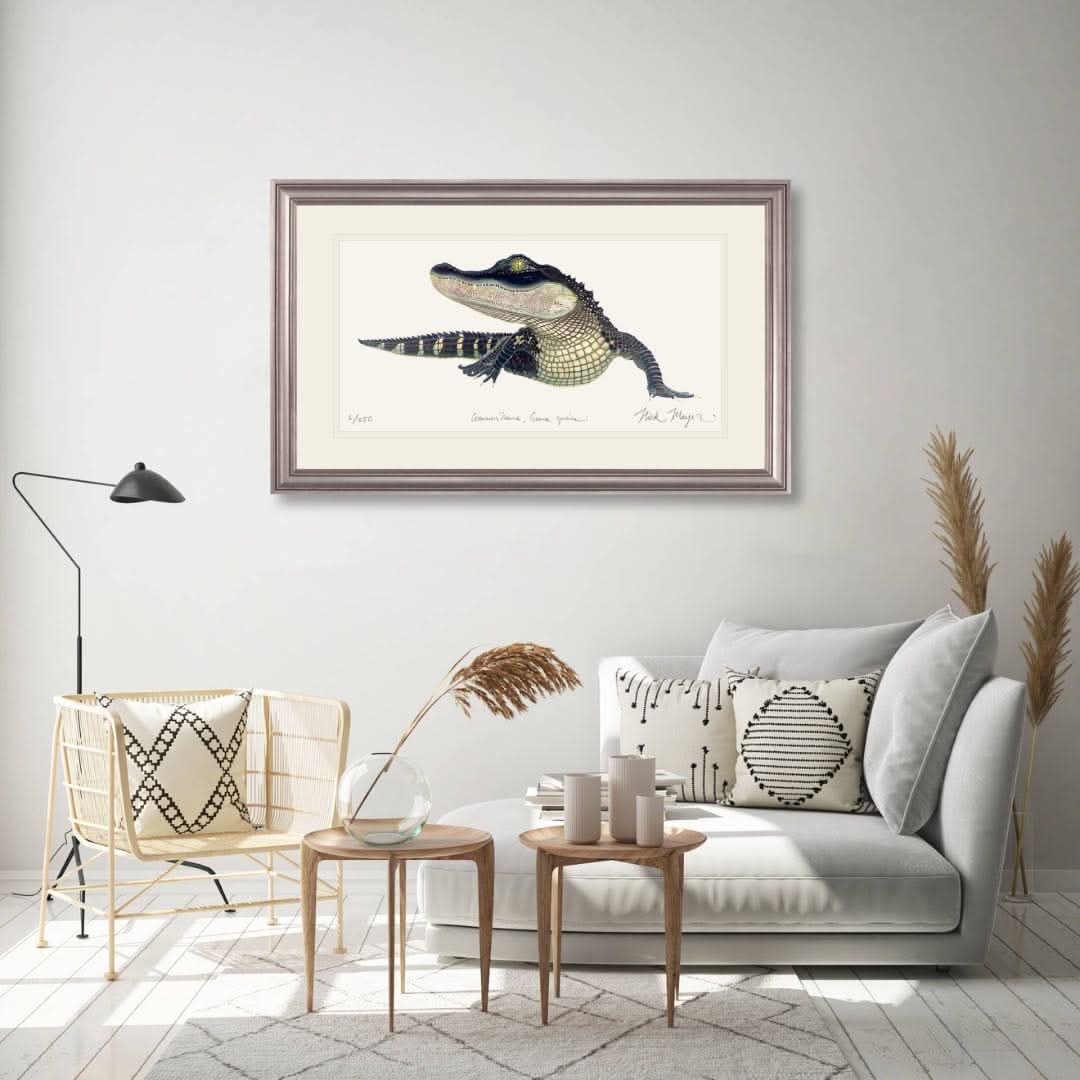 American Alligator Limited Edition Print