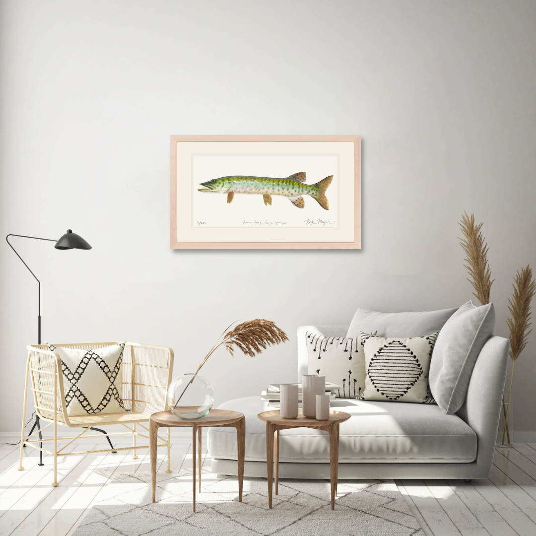 Baby Muskie Limited Edition Print