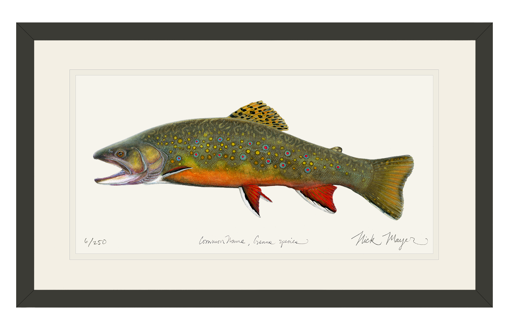 Beaver pond Brook Open Edition Print, Black Frame, 12" x 20"