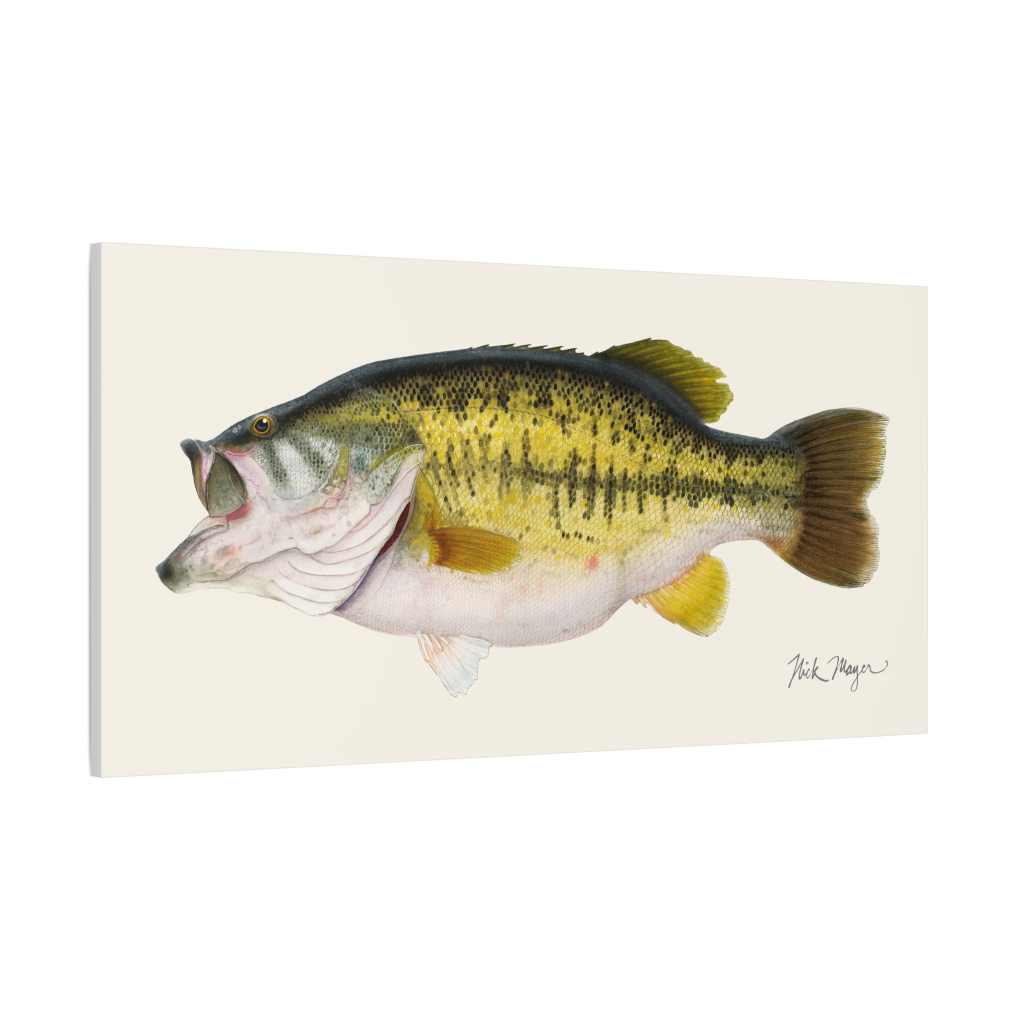 Largemouth Bass II Canvas Print, 20" x 40"