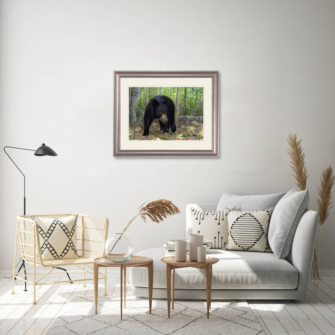 Black Bear Limited Edition Print