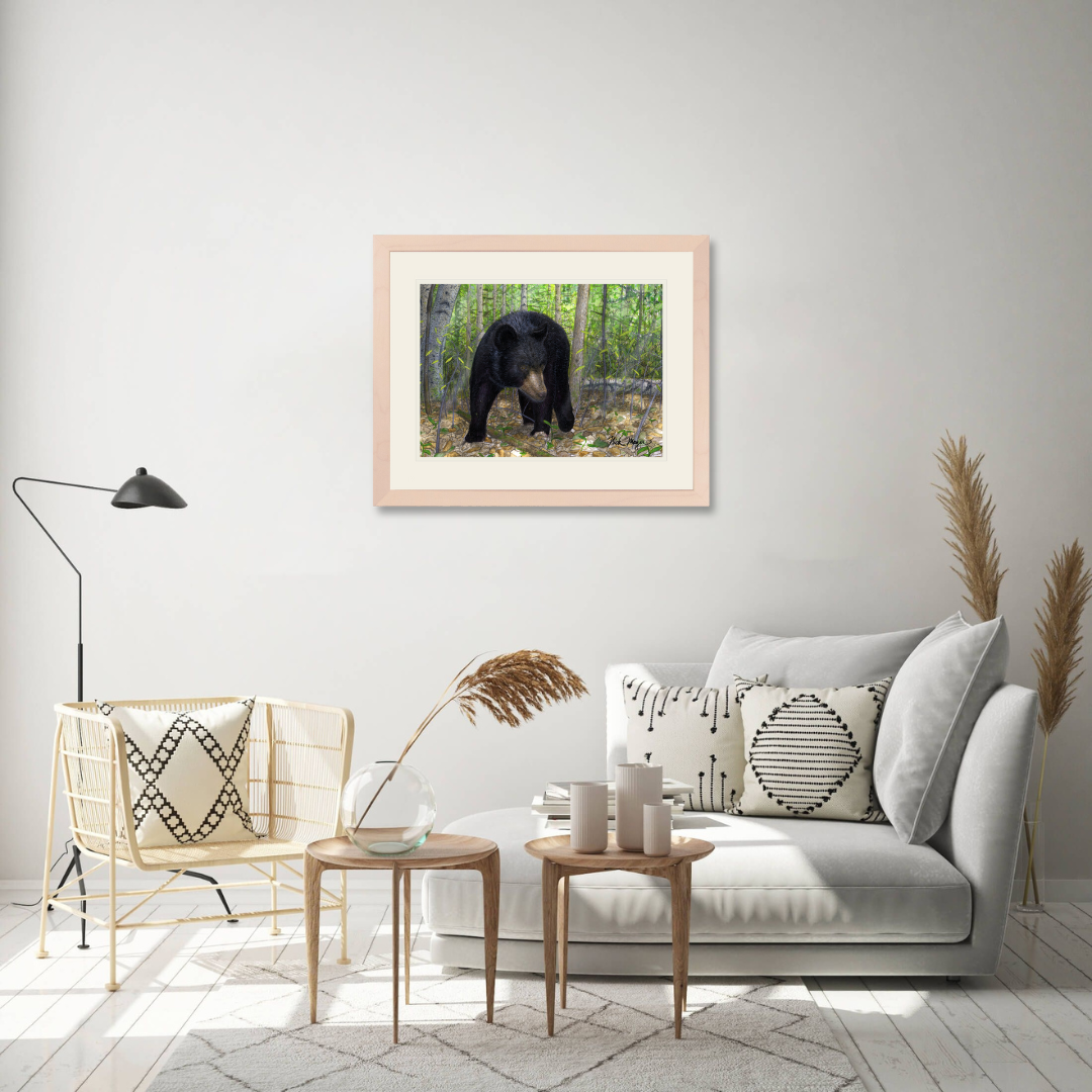 Black Bear Limited Edition Print