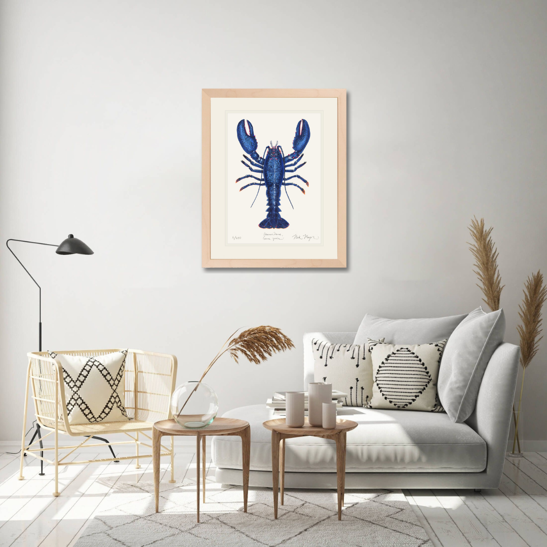 Blue Lobster II Limited Edition Print - Best Seller