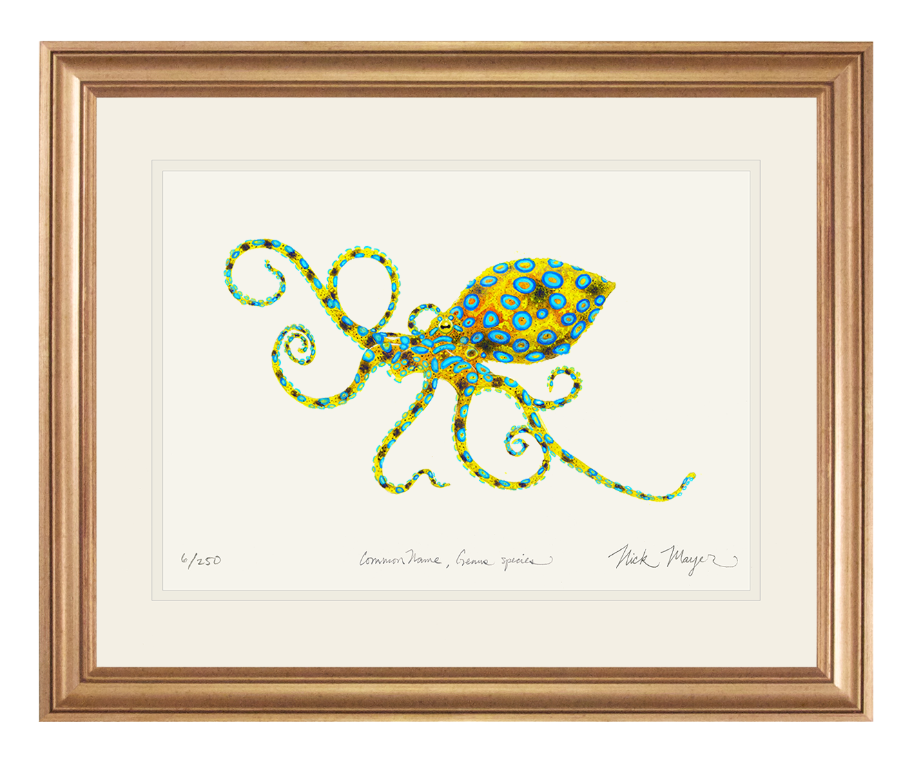 Blue Ringed Octopus Limited Edition Print