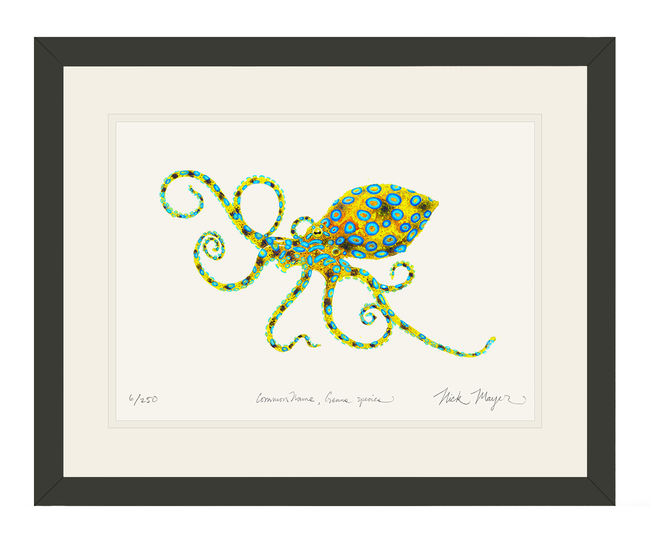 Blue Ringed Octopus Limited Edition Print