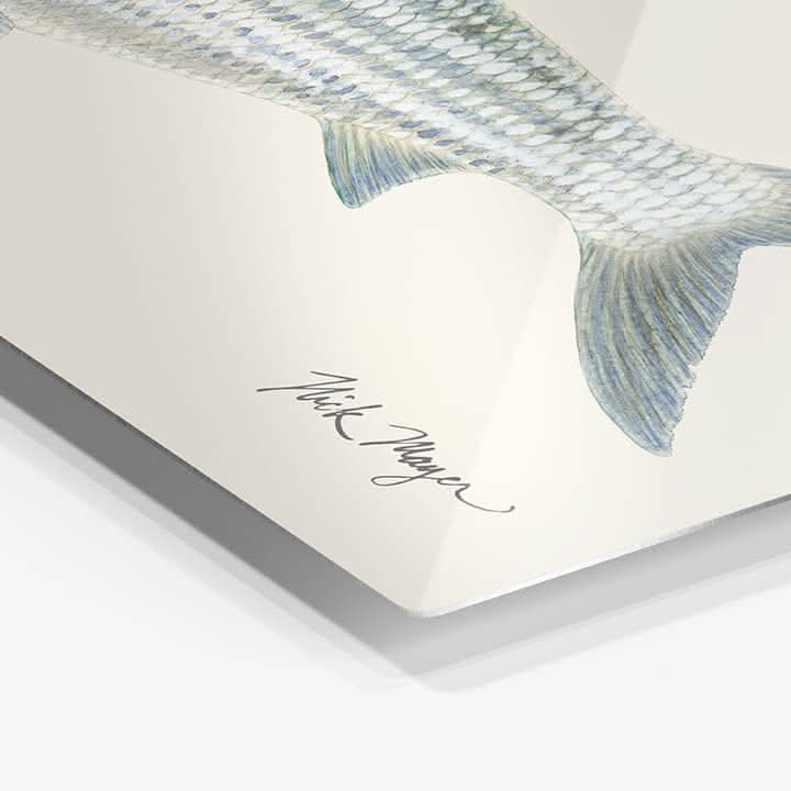 Bonefish Metal Print, NEW!