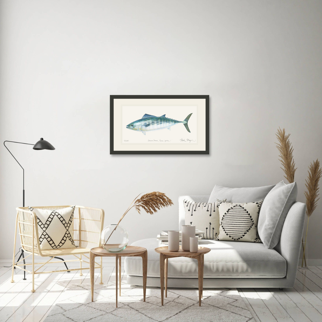 Bonito Limited Edition Print