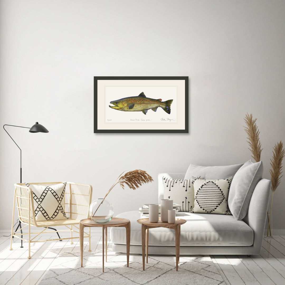 Brown Trout 1 Limited Edition Print