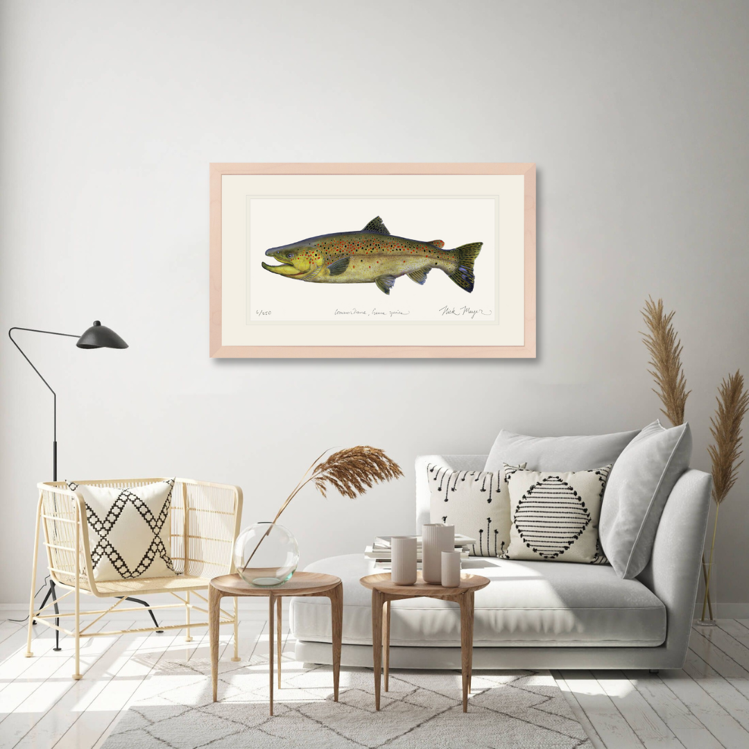 Brown Trout 1 Limited Edition Print