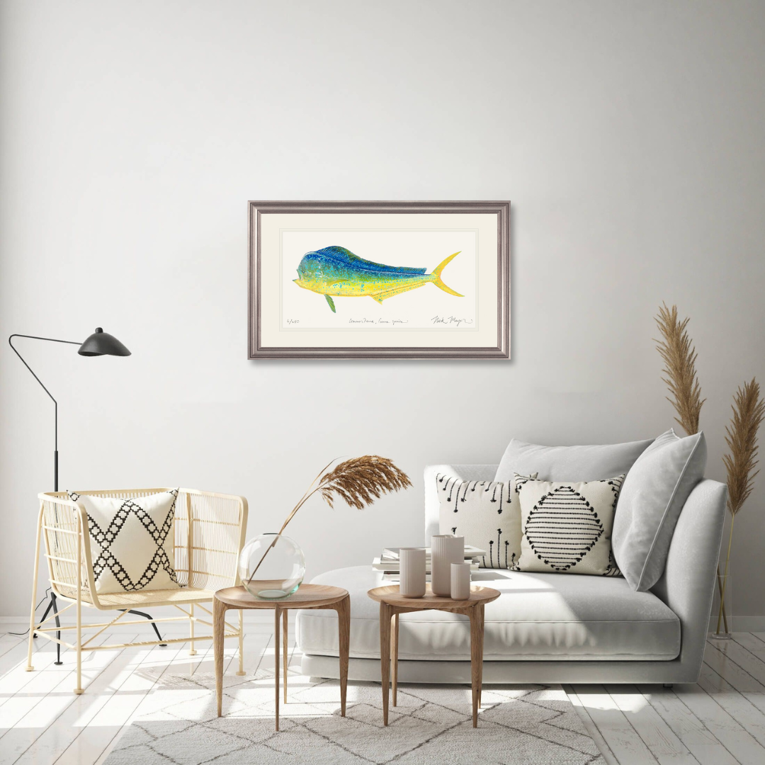 Bull Dorado/ Mahi Limited Edition Print - Best Seller