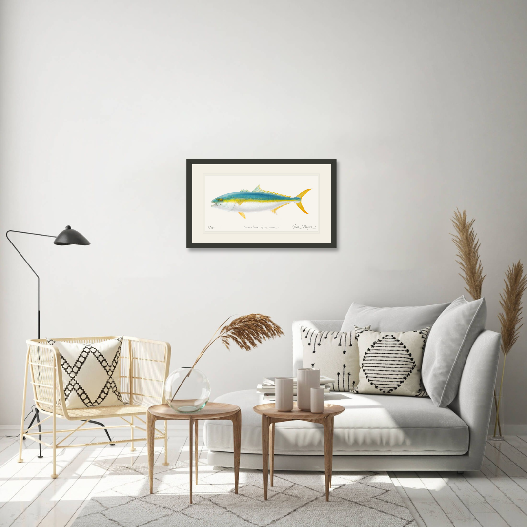 California Yellowtail II Print