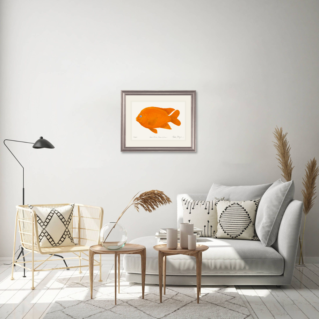 Garibaldi I Limited Edition Print