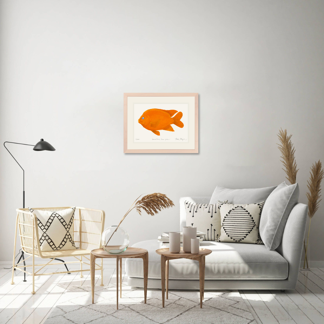 Garibaldi I Limited Edition Print
