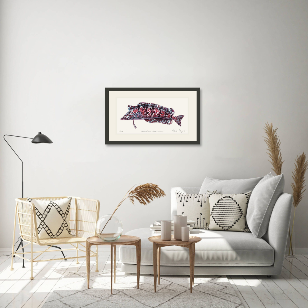 Giant Kelpfish Print
