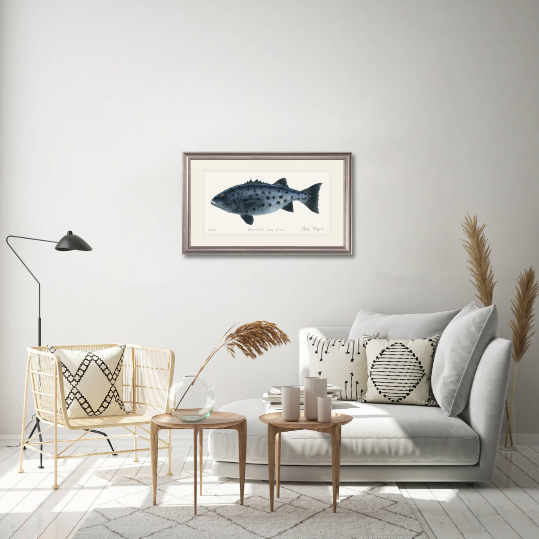Giant Sea Bass Limited Edition Print