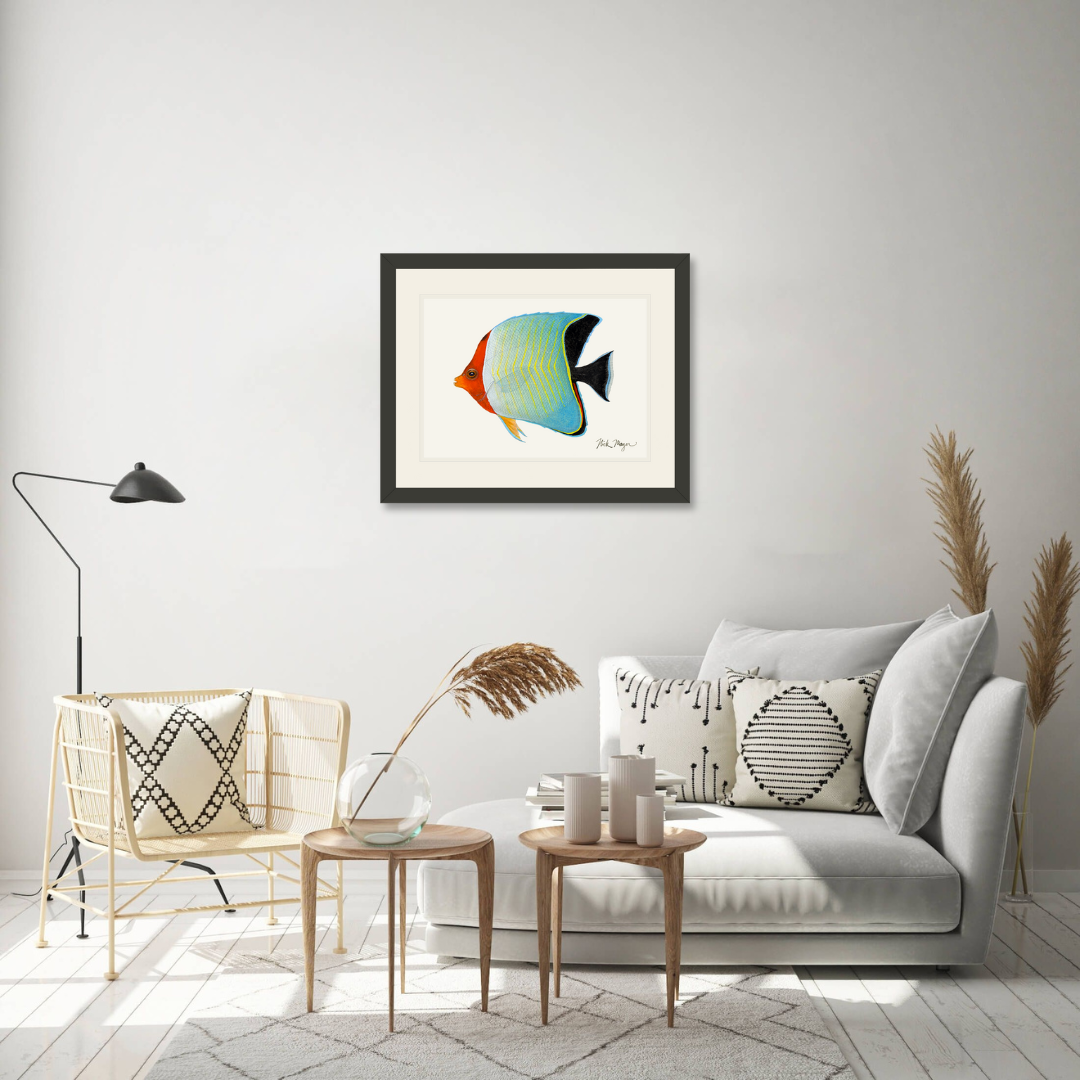 Hooded Butterflyfish Limited Edition Print - NEW