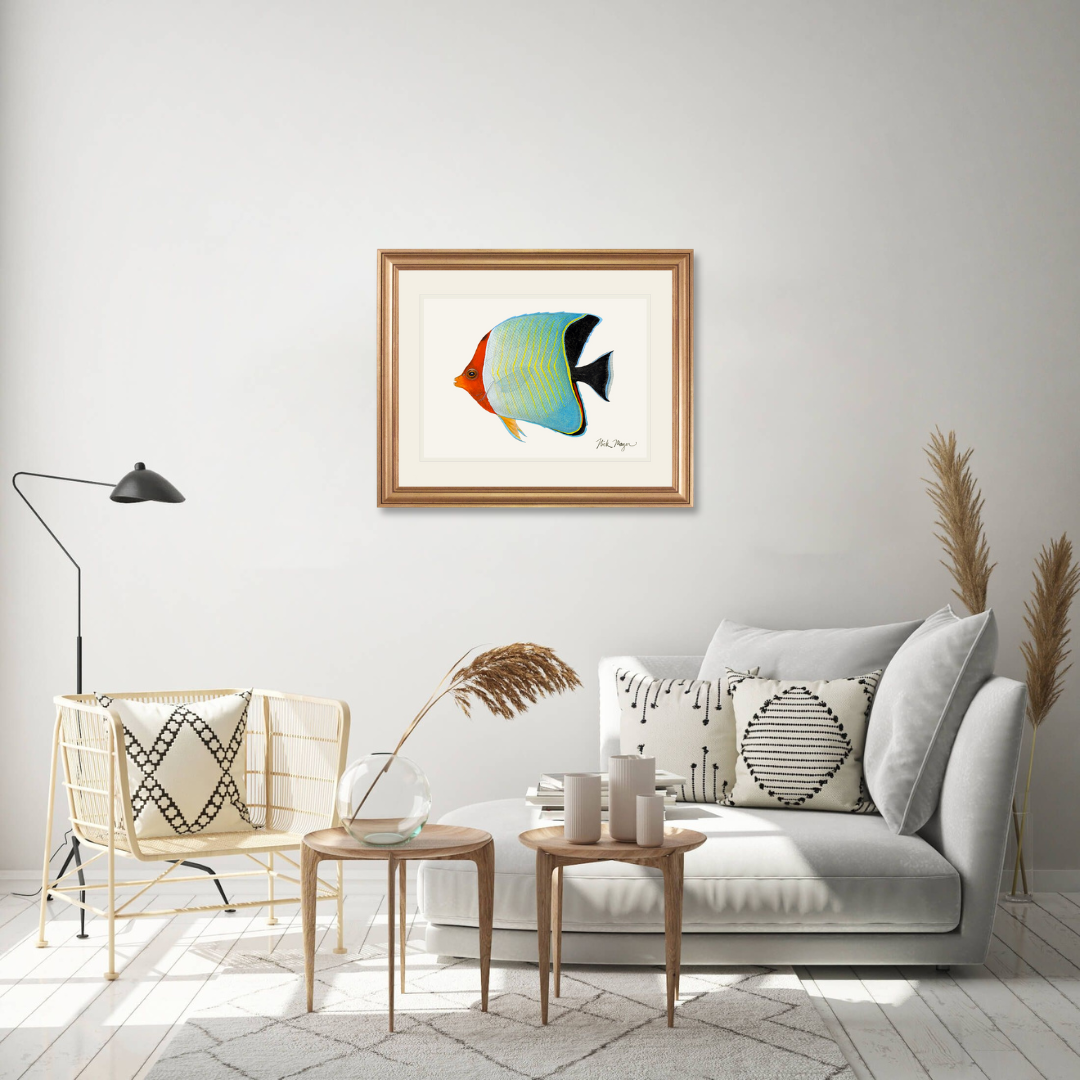 Hooded Butterflyfish Limited Edition Print - NEW