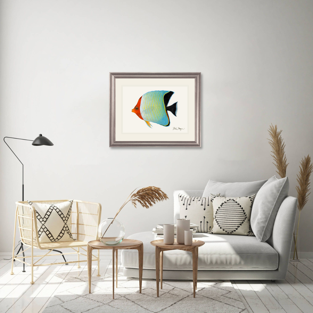 Hooded Butterflyfish Limited Edition Print - NEW