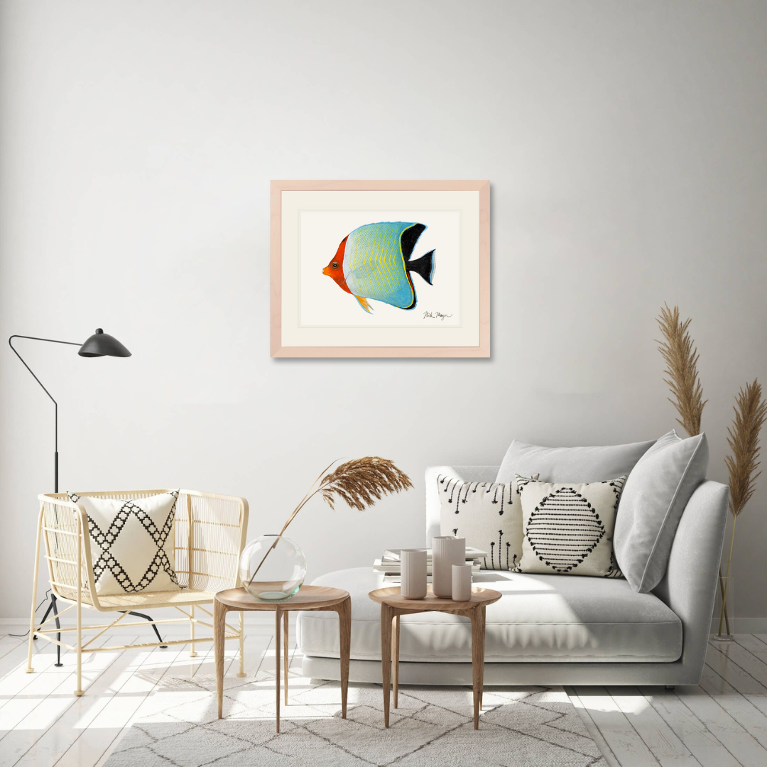 Hooded Butterflyfish Limited Edition Print - NEW