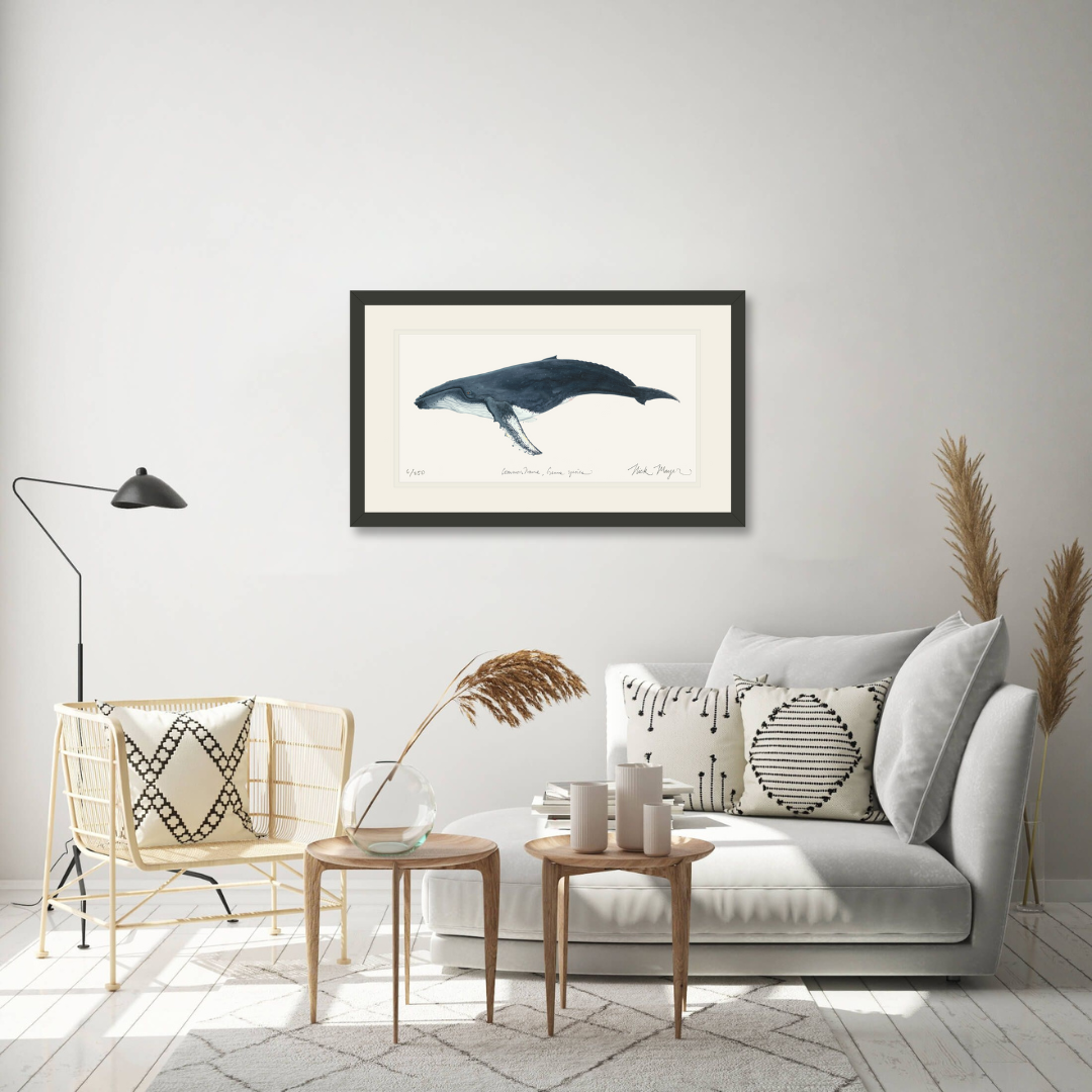 Humpback Whale Limited Edition Print