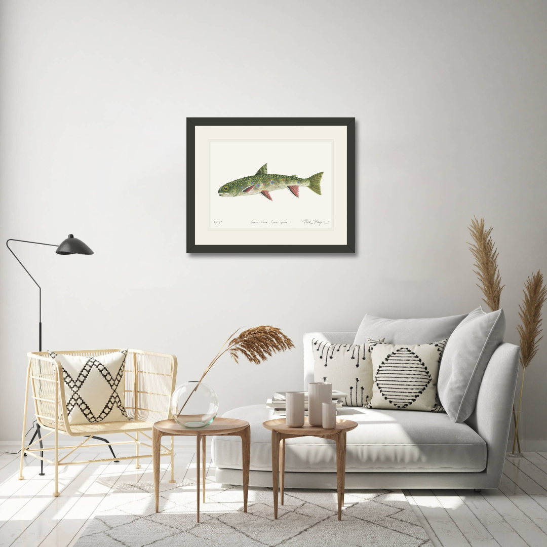 Juvenile Brook Trout Limited Edition Print