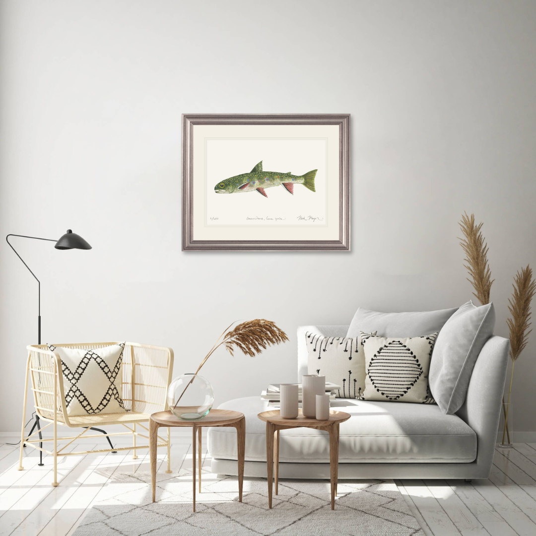 Juvenile Brook Trout Limited Edition Print