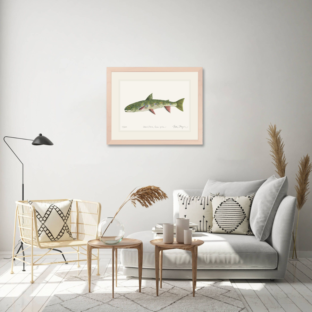 Juvenile Brook Trout Limited Edition Print