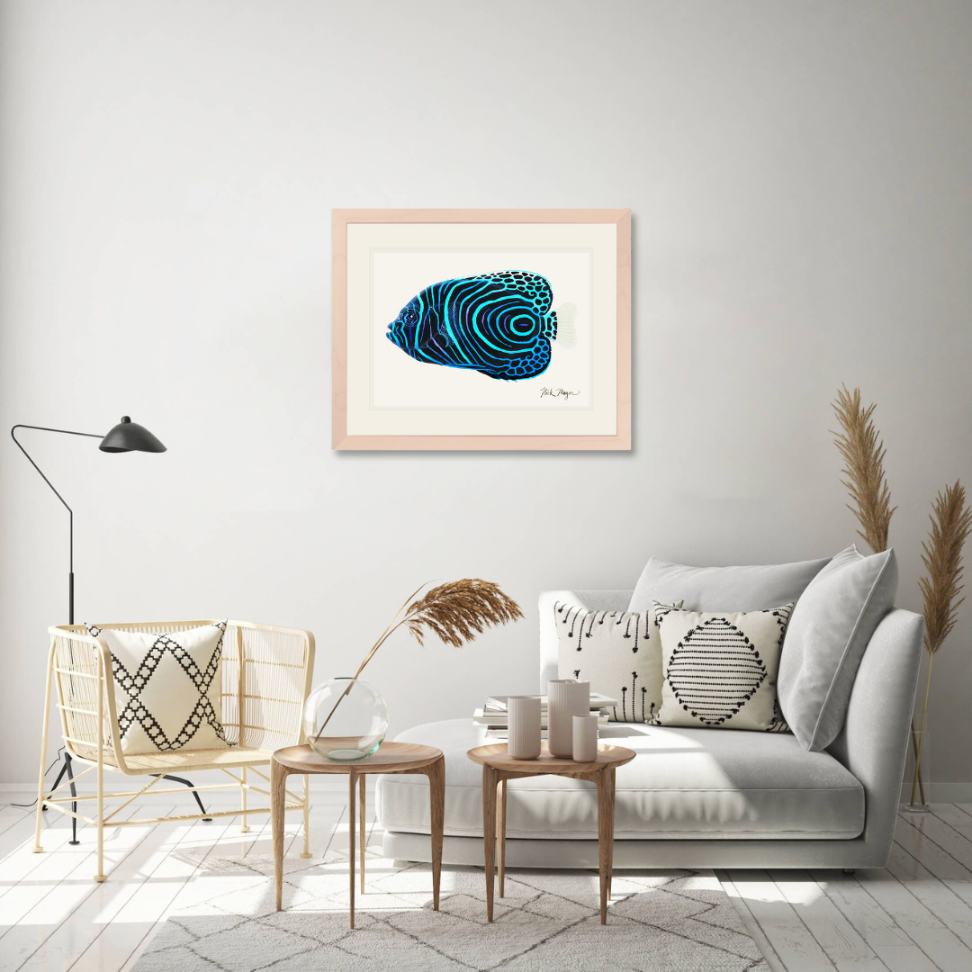 Juvenile Emperor Angelfish Limited Edition Print