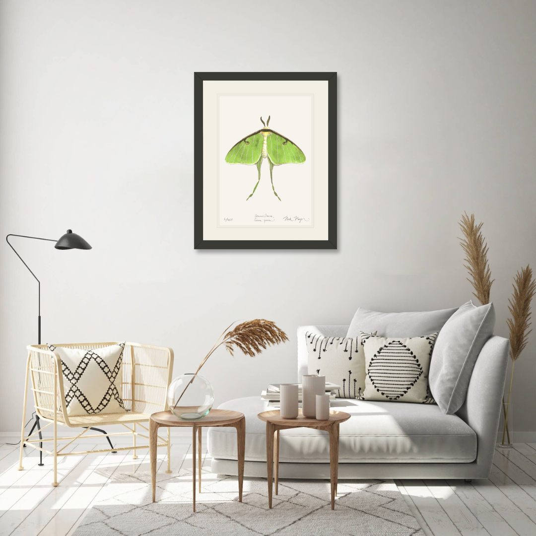 Luna Moth Print