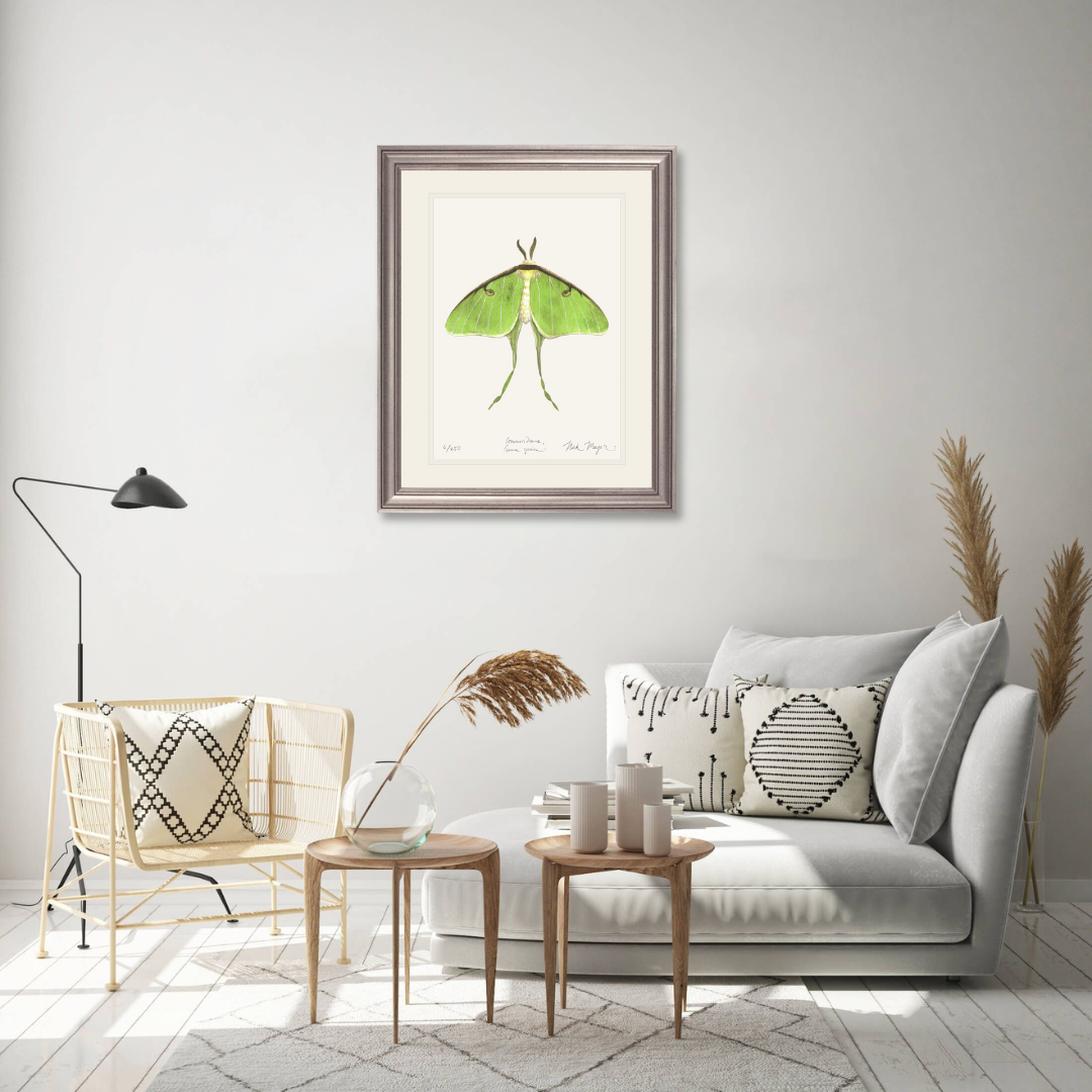 Luna Moth Print